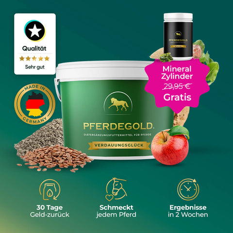 Pferdegold® Verdauungsglück Wanne mit hochwertigen deutschen Etiketten enthält Apfel und einen kostenlosen Mineral Zylinder. Ideale Pferdemagen Ergänzung für Pferde-perfekte Wahl für diejenigen, die Magenergänzung Pferd wollen.