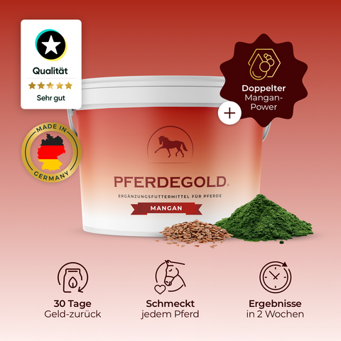 The Pferdegold Mangan horse supplement tub features flax seeds, green powder, and icons for quality, taste, and rapid results—highlighting Protein-Chelat as a premium source of manganese for optimal equine health.