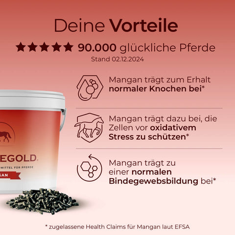 Pferdegold Mangan: Wichtiges Spurenelement für Pferde – unterstützt Knochen, Bindegewebe & Stressschutz. Mit praktischer Futtereimer-Option links.