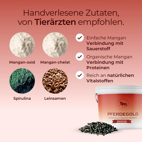 Vier Zutaten (Mangan-oxid, Mangan-chelat als Protein-Chelat, Spirulina, Leinsamen) neben einem Eimer Pferdegold Mangan – die hochwertige Manganquelle und wertvolles Spurenelement für Ihr Pferd.
