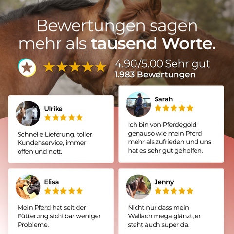 Customer reviews with star ratings for a horse service, highlighting positive feedback on Pferdegold Mangan and Protein-Chelat, plus horse images.