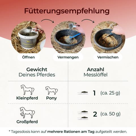 Three labeled bowls show how to feed horses, highlighting the right dosage by horse size with illustrated instructions, and featuring Pferdegold Mangan as an essential trace element (Spurenelement) in their diet.