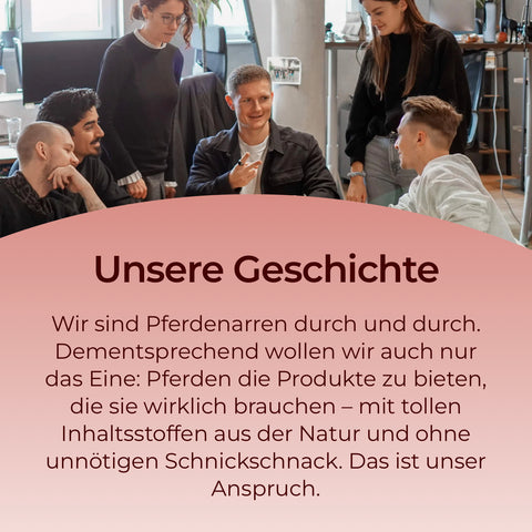Fünf Menschen sitzen lachend in einem modernen Büro und sprechen entspannt über die Bedeutung von Spurenelementen wie Mangan von Pferdegold.