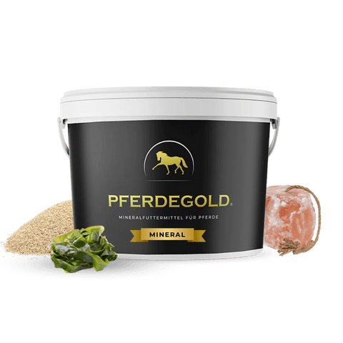 Ein schwarzer Pferdegold-Mineral-Eimer für Pferde steht neben Mineralpulver, einem Stein und grünen Blättern.