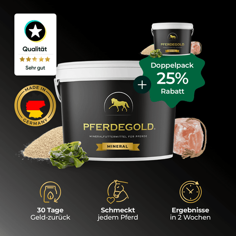 Der Pferdegold® Mineral-Doppelpack (25% Rabatt) von Pferdegold bietet essentielle Pferdemineralien mit 25% Rabatt - bewährte Ergänzungsmittel mit hervorgehobenen Vorteilen und Inhaltsstoffen.