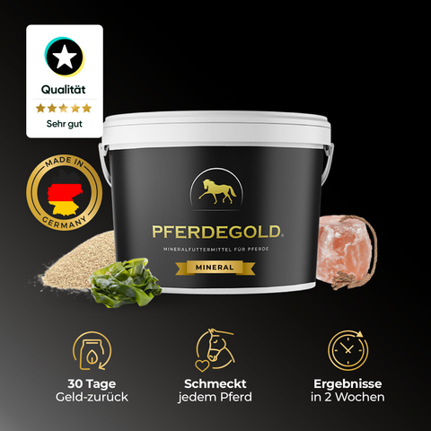 Schwarzer Pferdegold-Mineralienbecher mit deutschen Qualitätsetiketten, Mineralien und Symbolen, die die Vorteile des Produkts verdeutlichen.