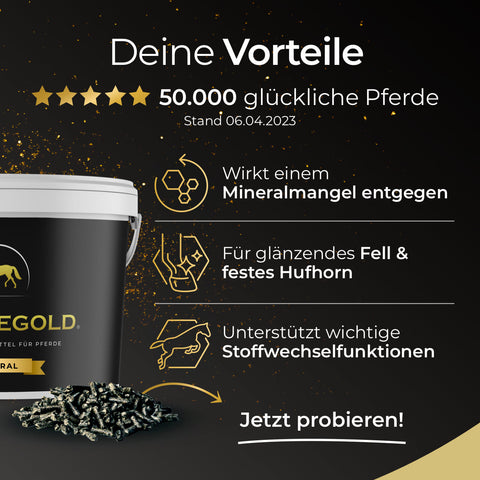 Schwarzes Futtereimer-Design mit Vorteilen, Top-Bewertungen und Infos zu Gesundheit & Zufriedenheit der Pferde - jetzt mit Pferdegold Mineral für optimale Nährstoffversorgung.