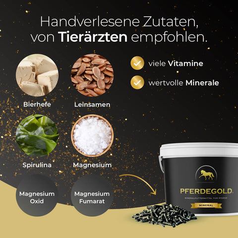 Infografik von Pferdegold Mineral, die Bilder der wichtigsten Inhaltsstoffe zeigt und die Vorteile von wichtigen Mineralien und Vitaminen hervorhebt.