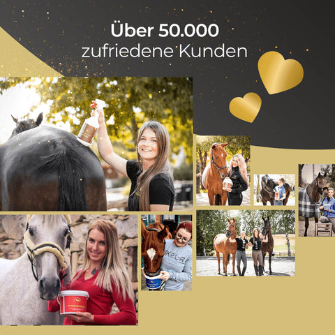 Collage von Menschen, die sich glücklich um Pferde kümmern, mit Text: Über 50.000 zufriedene Kunden, goldene Herzsymbole und das Vertrauen in Pferdegold Mineral.