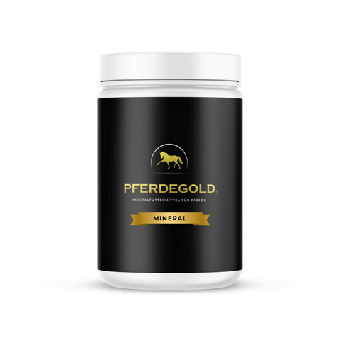 Schwarzer Behälter mit der Aufschrift Pferdegold Mineral mit goldenem Pferdelogo und weißem Deckel, der die Premium-Qualität des Pferdegold Mineral Supplements hervorhebt.
