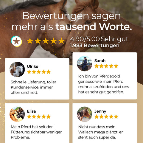Fünf-Sterne-Bewertungen von Pferdegold Massagestriegel zeigen Pferdefotos und deutsches Lob für positive Fellwechsel, wobei die Nutzer seine handgelenk-freundliche und elastische Handschlaufe für zusätzlichen Komfort hervorheben.