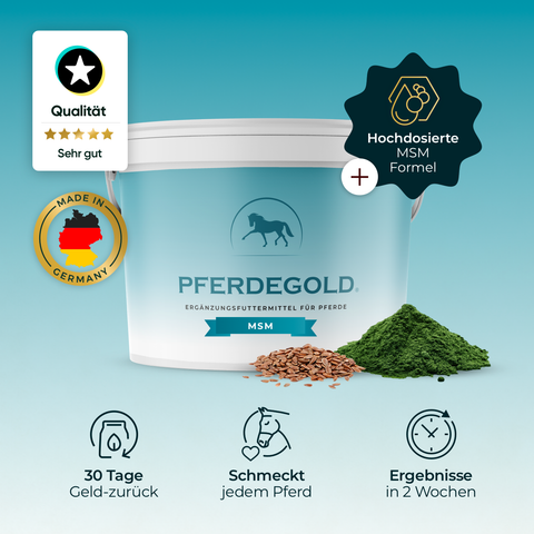 Weißer Pferdegold MSM-Pferdeergänzungseimer mit Qualitätsplaketten, Samen und grünem Pulver auf türkisfarbenem Hintergrund - perfekt für die Unterstützung des Bindegewebes und der Gelenke von Sportpferden.