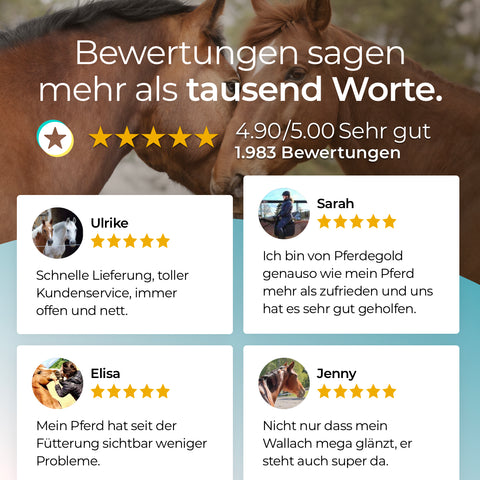 Vier Kunden bewerteten Pferdegold MSM sehr positiv und lobten Service und Produktwirksamkeit - ideal für Sportpferde, die Bindegewebe & Gelenke mit organischem Schwefel (MSM) unterstützen.