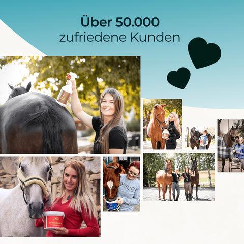 Collage von Frauen mit Pferden unter Verwendung von Pferdegold MSM für Bindegewebe & Gelenke, mit Text: Über 50.000 zufriedene Kunden und Herzsymbolen.