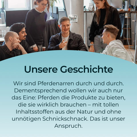 Fünf junge Menschen lachen in einem modernen Büro, während Text die Firmengeschichte und die Bedeutung von Pferdegold MSM als organische Schwefelquelle für Bindegewebe und Gelenke hervorhebt.