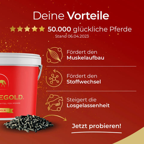 Unterstützen Sie Muskelaufbau, Stoffwechsel und Geschmeidigkeit mit Pferdegold® 2x Muskeln + Müsli Getreidefrei, jetzt 28% günstiger im Bundle. Pflanzliche Proteine, ideal für sportliche Pferde; geliebt von 50.000 glücklichen Pferden!.