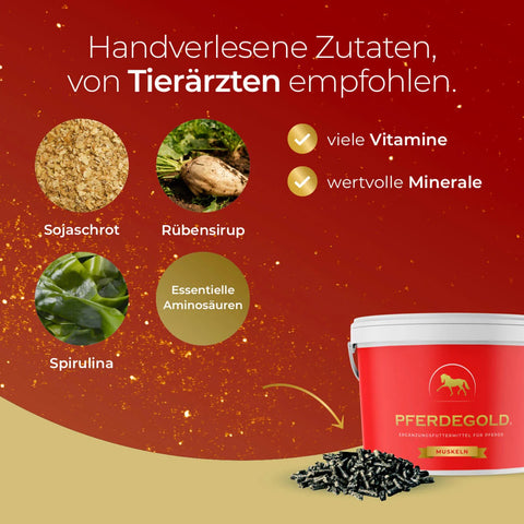 Das Pferdegold® 2x Muskeln + Müsli Getreidefrei Paket (28% Rabatt) zeichnet sich durch ein leuchtendes rot/goldenes Design mit Sojamehl-, Rübensirup- und Spirulina-Motiven aus - ideal für sportliche Pferde auf einer getreidefreien, pflanzlichen Proteine-Diät.