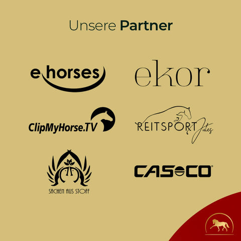 Die Logos von sechs Partnern wie e horses, ekor, ClipMyHorse.TV u.a.-passend zu 2x Muskeln + Müsli Getreidefrei Bundle von Pferdegold®: ideal für sportliche Pferde und getreidefreie Ernährung mit pflanzlichen Proteinen.