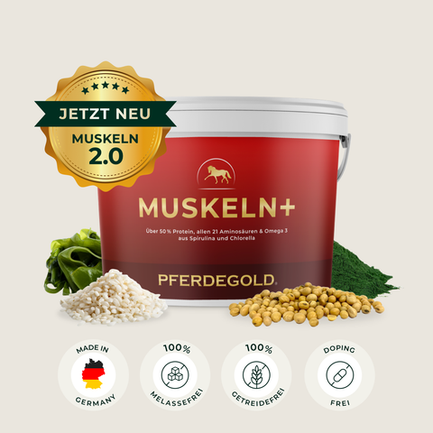 Pferdegold Muskeln 2.0 Muskelaufbau Ergänzungswanne mit Körnern und Samen, plus vier Qualitätssymbole darunter-ideal für effektiven Muskelaufbau bei Pferden.