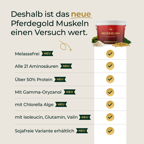 Infografik mit Vorteilen von Pferdegold Muskeln 2.0 für starke Pferdemuskeln, gelbe Häkchen und Produktabbildung.