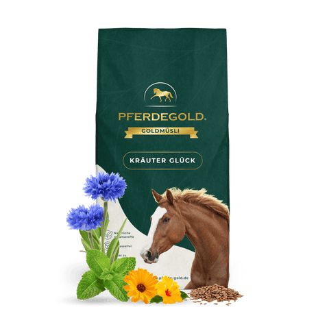 Ein grüner Beutel Pferdegold Goldmüsli® Kräuter Glück Pferdefutter mit einem Pferdebild, mit Blumen und Kräutern auf der Vorderseite - pflanzliche Formel für mehr Vitalität.