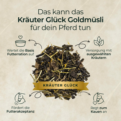 Die Goldmüsli Treue-Box von Pferdegold mit Kräutern zeigt in Icons und Text Vorteile wie hohe Futterakzeptanz und Förderung des Kauens - getreidefrei, melassefrei.