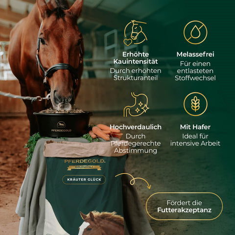 Ein Pferd frisst aus einem Futtereimer, während Piktogramme die Vorteile von Pferdegold® 3 für 2 - Goldmüsli Kräuterglück hervorheben.