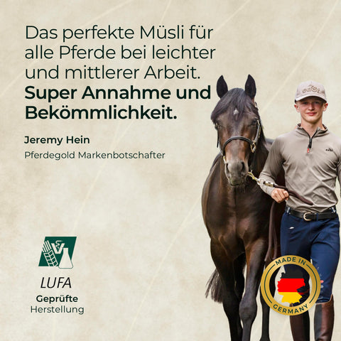 Ein Mann führt ein braunes Pferd, daneben Text über Pferdegold Goldmüsli® Sport Plus und zwei Siegel-ideal auch als Gelenkfutter für Pferde.