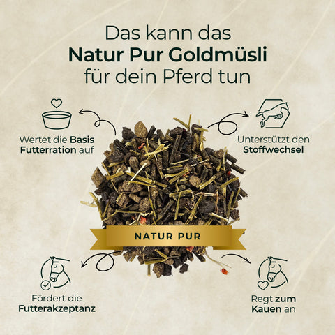 Die Pferdegold Goldmüsli Treue-Box ist eine getreidefreie Müslifuttermischung für Pferde, präsentiert mit Symbolen und Texten zu Vorteilen wie hoher Akzeptanz und Unterstützung des Stoffwechsels.
