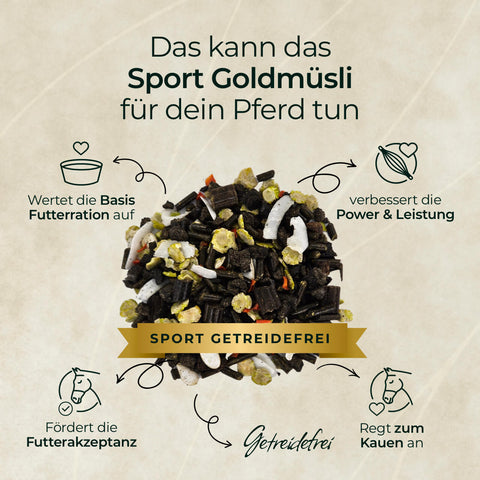 Staple von Pferdegold Goldmüsli Treue-Box mit Icons, die die getreide- und melassefreien Vorteile für Pferde auf Deutsch zeigen.