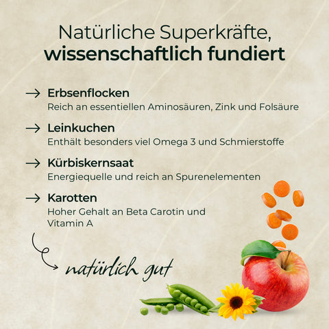 Infografik mit proteinreichen Erbsen, Kürbiskernen, Karotten und Apfel sowie Infos zu deren Vorteilen im Pferdegold® 3 für 2 - Goldmüsli Sport Getreidefrei Pferdefutter.