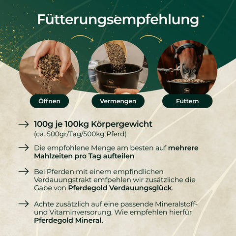 In drei Schritten füttern: Goldmüsli Treue-Box von Pferdegold öffnen, vermengen, Pferd versorgen - melassefreie Fütterungsempfehlungen inklusive.