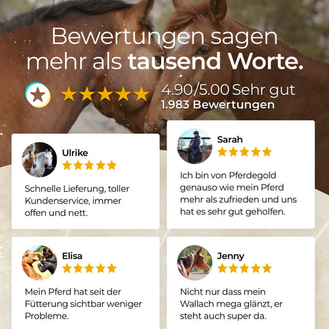Deutsche Kundenbewertungsgrafik mit Pferdebildern, Sternebewertungen und positiven Rückmeldungen von vier Fans der getreidefreien, melassefreien Goldmüsli Treue-Box von Pferdegold.