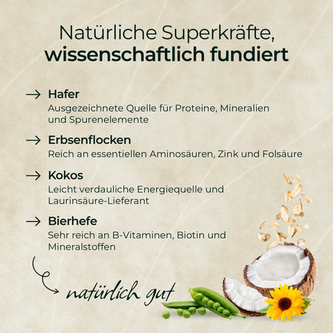 Infografik zu Hafer, Erbsenflocken, Kokos und Bierhefe mit passenden Illustrationen - ideal als Inspiration für Gelenkfutter wie das Goldmüsli® Sport Plus von Pferdegold.