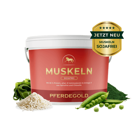 Pferdegold Muskeln 2.0 Sojafrei Wanne mit Erbsen, Reis und Seetang - ideales Pferdefutter für den Muskelaufbau beim Pferd. Mit Anstecker: Jetzt neu Muskeln 2.0 Sojafrei!.