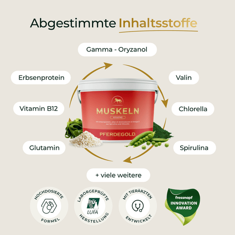 Ein roter Behälter mit der Aufschrift Muskeln 2.0 Sojafrei by Pferdegold, umgeben von Zutaten und Preisschildern, hebt Premium-Pferdefutter zur Unterstützung des Muskelaufbaus beim Pferd auf einem beigen Hintergrund hervor.