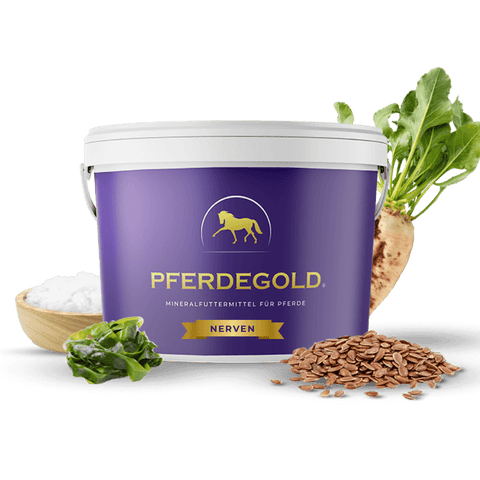 Ein Becher Pferdegold Nerven Pferdefutter mit Algen, Leinsamen und Rüben - perfekt für Pferde, die Unterstützung für ihr Nervensystem brauchen.