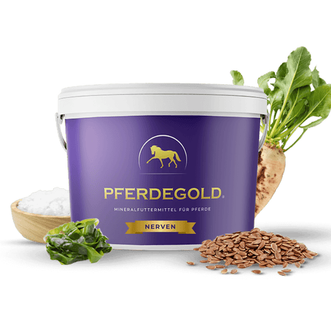 Pferdegold® Nerven