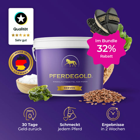 Pferdegold® Nerven + Bürsten Bundle 32% von Pferdegold mit Icons, Rabattmarke und Qualitätssiegeln auf violettem Hintergrund, die dieses bewährte Pferdeergänzungspaket hervorheben.