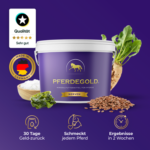 Ein violetter Pferdegold Nerven-Becher mit Inhaltsstoffen und Symbolen, die die Vorteile und die bewährte Qualität des Pferdegold Nerven-Pflegemittels hervorheben.