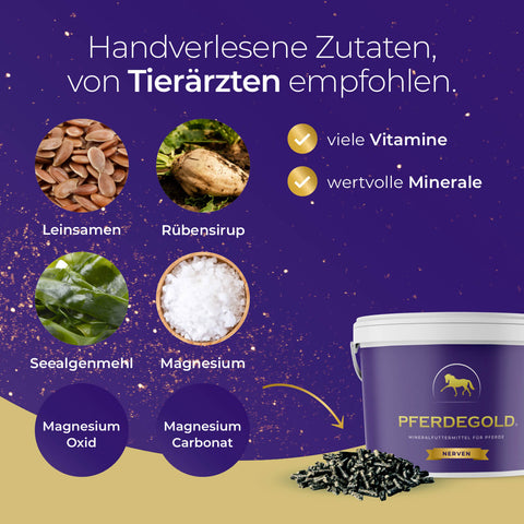 Infografik mit Zutaten und Eimer Pferdegold Nerven, empfohlen von Tierärzten, mit Vitamin- und Mineralstoff-Icons - ideal für Nervenpflege bei Pferden.