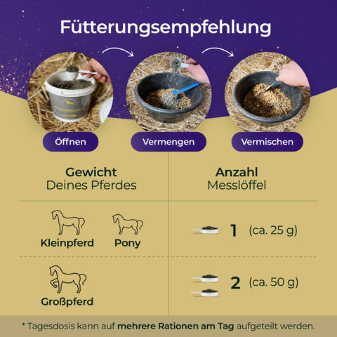 Infografik mit Fütterungshinweisen für Pferde und Ponys, mit Schritten, Portionstipps und Hinweisen zur Anwendung von Pferdegold Nerven Pflegeprodukten.