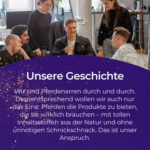 Eine Gruppe von fünf Menschen sitzt lachend in einem modernen Büro und tauscht Tipps zu Pferdegold Nerven aus.