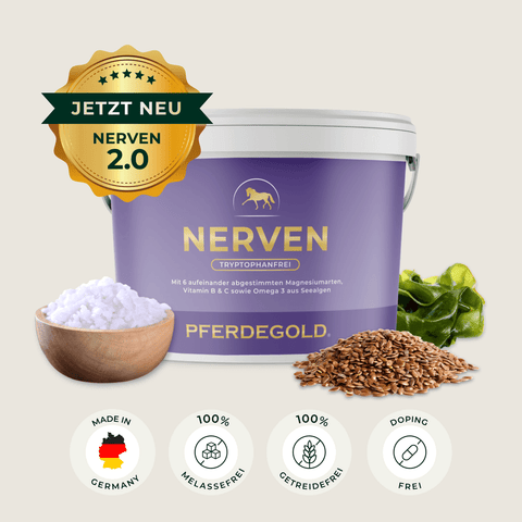 Ein Becher Pferdegold Nerven 2.0 mit aufgelisteten Inhaltsstoffen, einer grünen Plakette und Funktionssymbolen unten - perfekt für die Pferdeberuhigung.