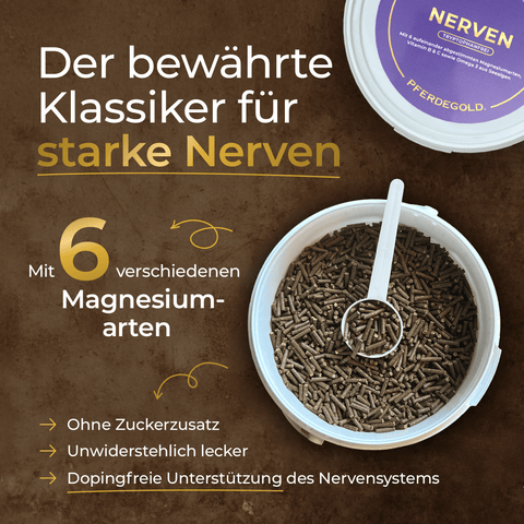 Runde Dosis mit braunen Pellets und Text: "Pferdegold Nerven 2.0 - der bewährte Klassiker für starke Nerven mit 6 Magnesiumarten".