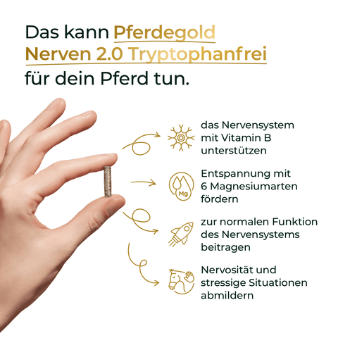 Hand hält Kapsel; daneben Text über die Vorteile von Pferdegold Nerven 2.0, einem Nahrungsergänzungsmittel zur Beruhigung und Unterstützung des Nervensystems bei Pferden.