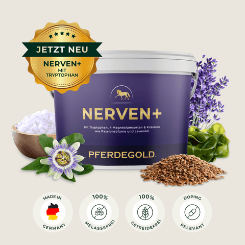 Eine Wanne mit Pferdegold Nerven+ mit Tryptophan zur Beruhigung von Pferden, mit Passionsblume, Lavendel, Leinsamen und Qualitätssymbolen.