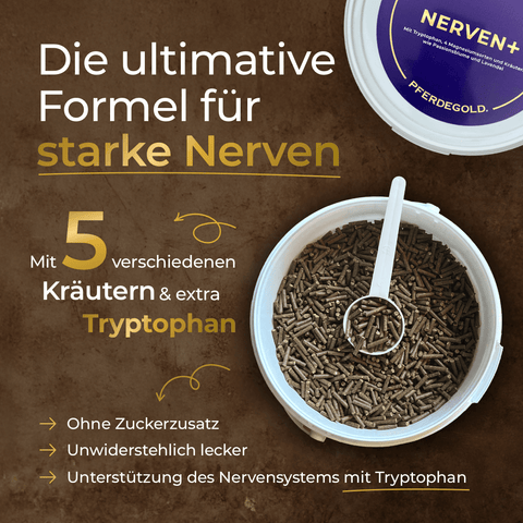 Geöffnete Dose mit braunen Pellets mit Schaufel, beschriftet mit Pferdegold® Nerven+ mit Tryptophan 3für2 Ergänzungsfuttermittel für starke Nerven bei Pferden, mit den wichtigsten Vorteilen für eine wirksame Pferdeberuhigung.