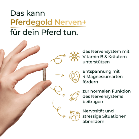 Eine Hand hält eine Tablette; der Text erklärt, wie Pferdegold® Nerven+ mit Tryptophan 3für2 gezielt das Nervensystem stärkt und zur Beruhigung beiträgt - für starke Nerven bei Pferden.