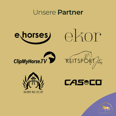 Logos von Partnerfirmen: ehorses, ekor, ClipMyHorse.TV, REITSPORT Jules, SACHEN AUS STOFF und CASECO - vertrauenswürdige Namen für Beratung zu Pferdegold Rosse und Lösungen für Hengstigkeit oder Rosseprobleme.